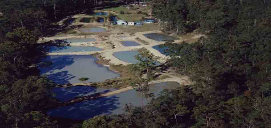 Hallidays Point Fish Farm