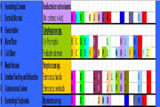 Click To Go To Chart