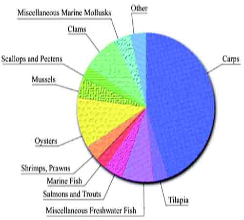 World Aquaculture