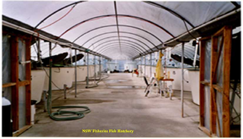 Kel Gordon Fish Research