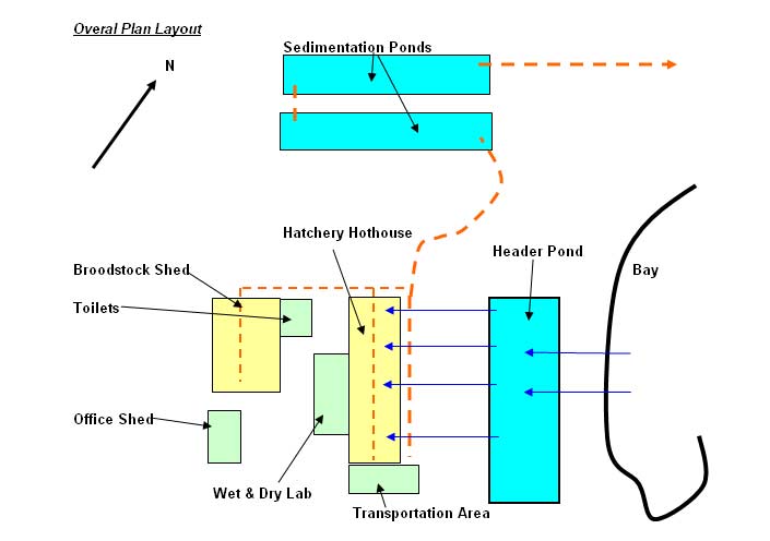 overal plan layout and function